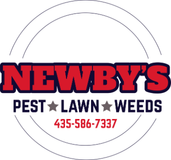 Newby's logo