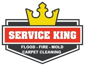 Service King logo